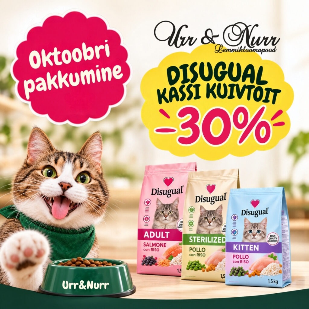 Disugual kassi kuivtoit –30%
